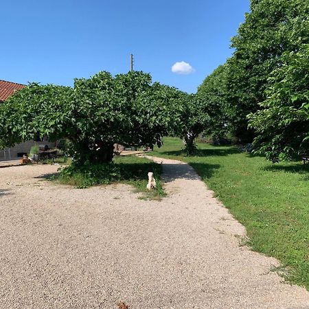 Gite La Longere Bleue Caylus Buitenkant foto